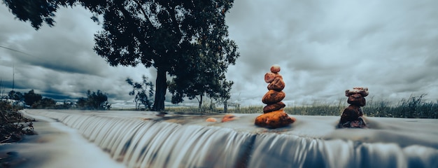 Cultivating a Life of Purpose: Nurturing Spiritual Growth