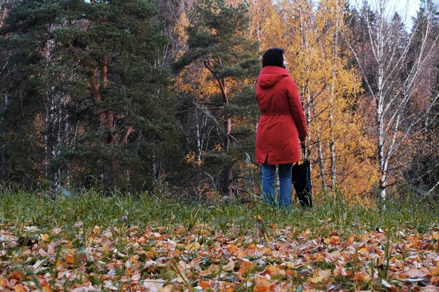Unraveling Sin: Understanding The Fall