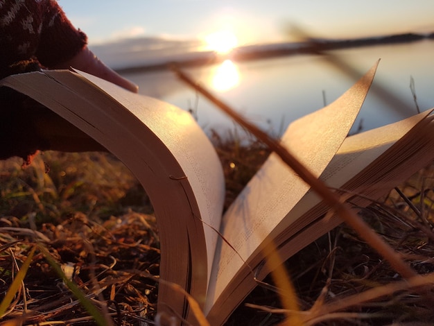 Unveiling the Covenants: A Deep Dive into Biblical Studies