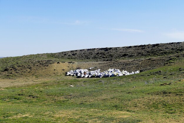 Leading the Flock: Nurturing Church Leadership in Pastoral Ministry