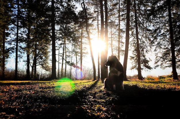 Nurturing Your Spirit: The Power of Prayer for Spiritual Growth